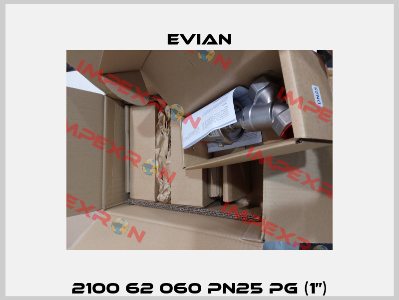 2100 62 060 PN25 PG (1”) Evian