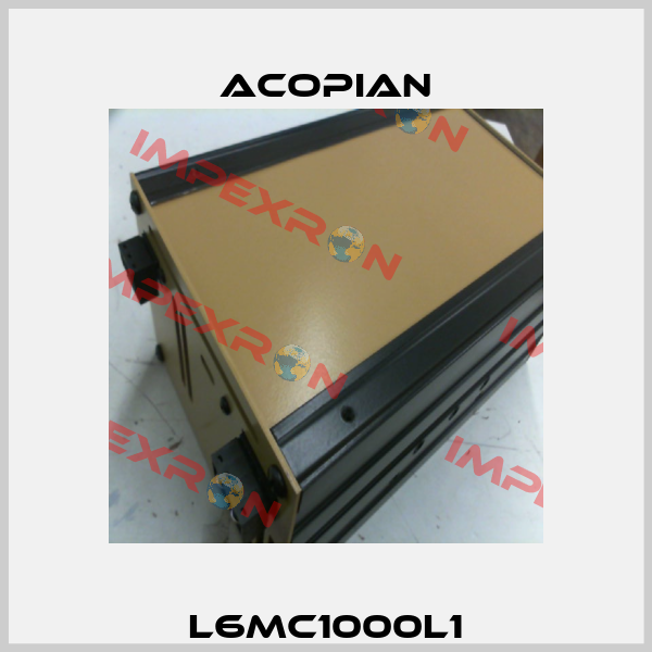 L6MC1000L1 Acopian