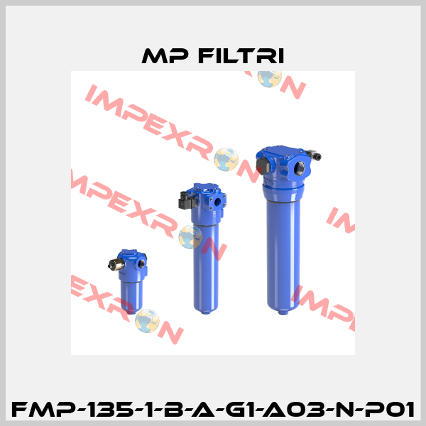 FMP-135-1-B-A-G1-A03-N-P01 MP Filtri