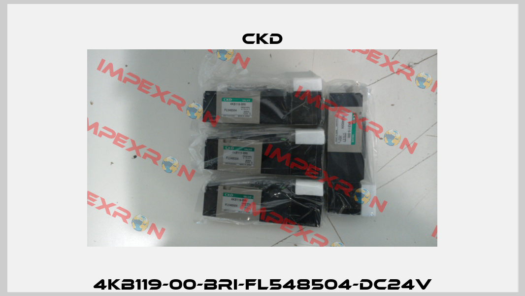 4KB119-00-BRI-FL548504-DC24V Ckd