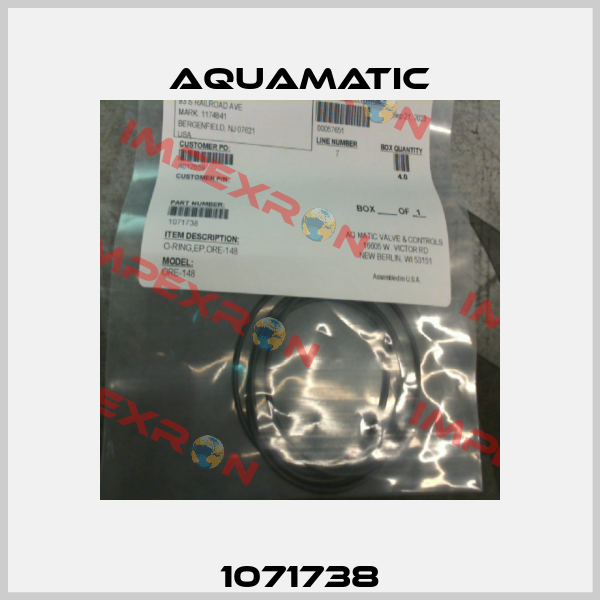 1071738 AquaMatic